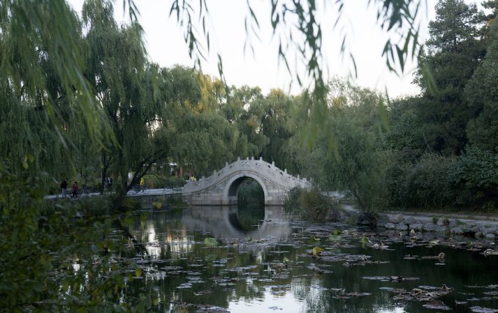 还记得那个面试的时候，说自己是五道口理工学院毕业的同学吗