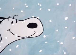 学校几号放寒假（放寒假时间确定）