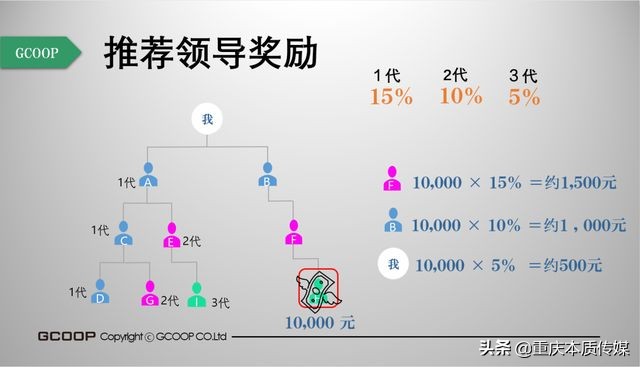 集库GCOOP将在华正式运营：无牌运营直销遭质疑