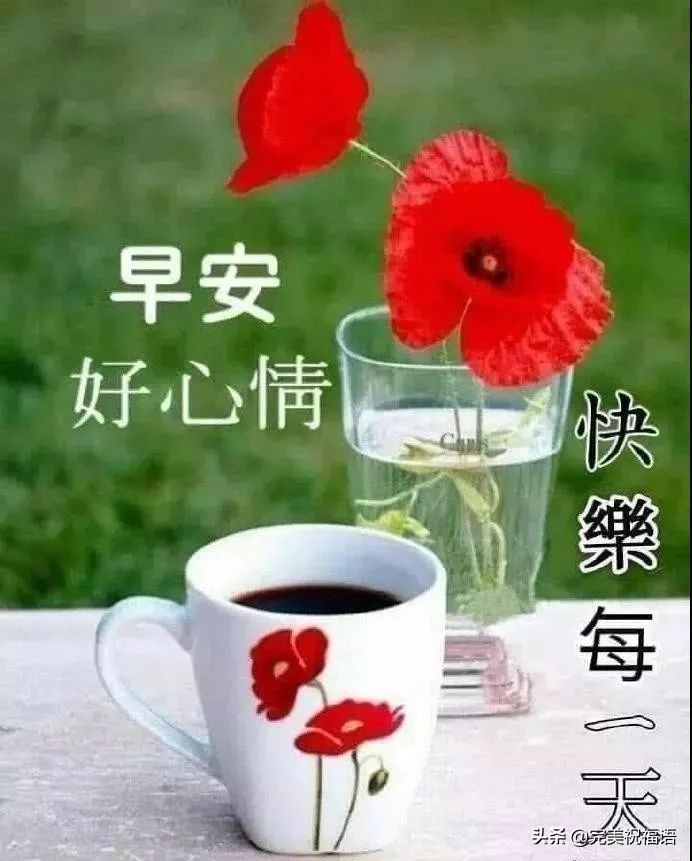 清晨最美的早安祝福图片大全，早上好最暖心的问候经典句子