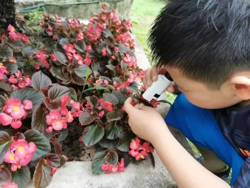 揭秘！魔术贴是如何粘住的？用显微镜放大后，明白了其中的原理