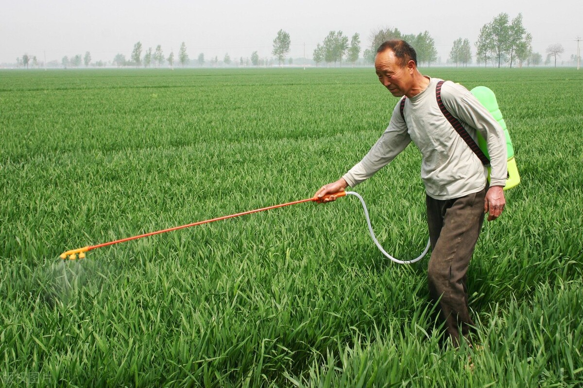 种植磷酸二氢钾的最佳施肥方法磷酸二氢钾不要和这些药与肥混用