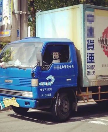 路边货车司机累得像狗一样，网友把照片发出来，笑翻：太形象了