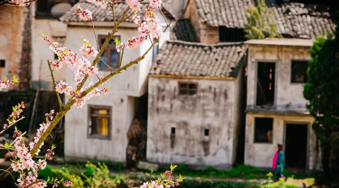20首春雨诗词，一朝春雨过，万物皆清明