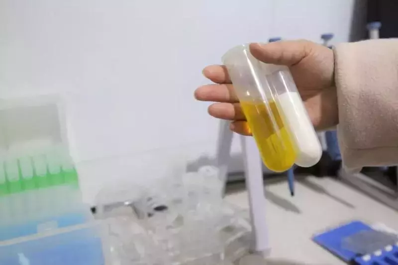 西昌校园食品安全情况怎么样?突击检查结果来了….