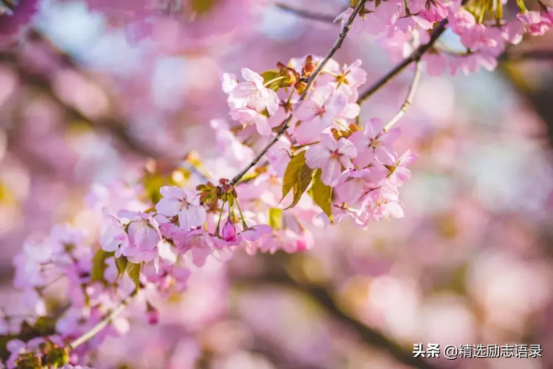 做人，要有骨气；做事，要有担当