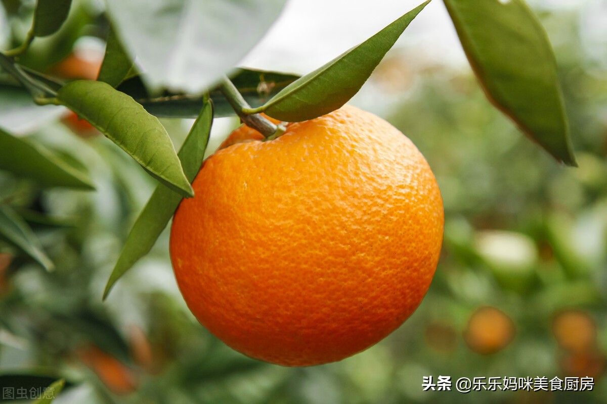 川渝脐橙霸榜，湖南蜜桔紧追，湖北酸甜橙有特色，广西、江西也有地方名优。