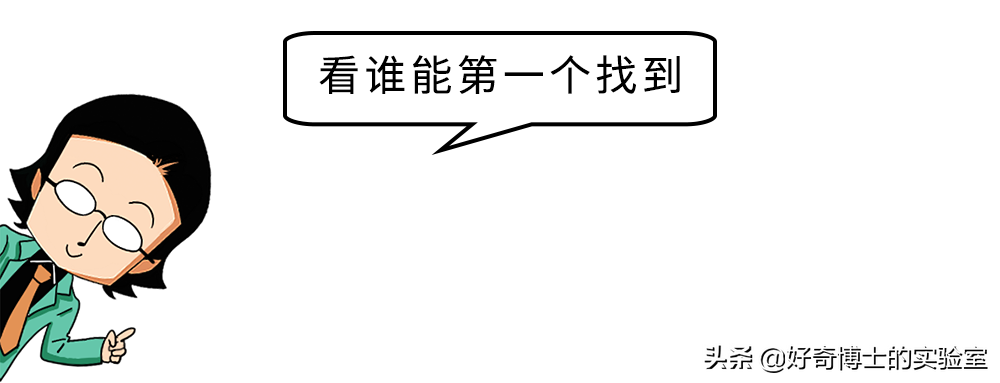 冷知识：你知道奥运选手游泳前为什么戴耳机吗？