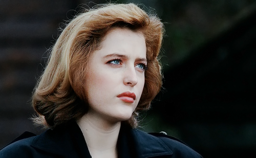 好莱坞“性教育”女星想穿胸罩？ “谁爱穿，我不做！”