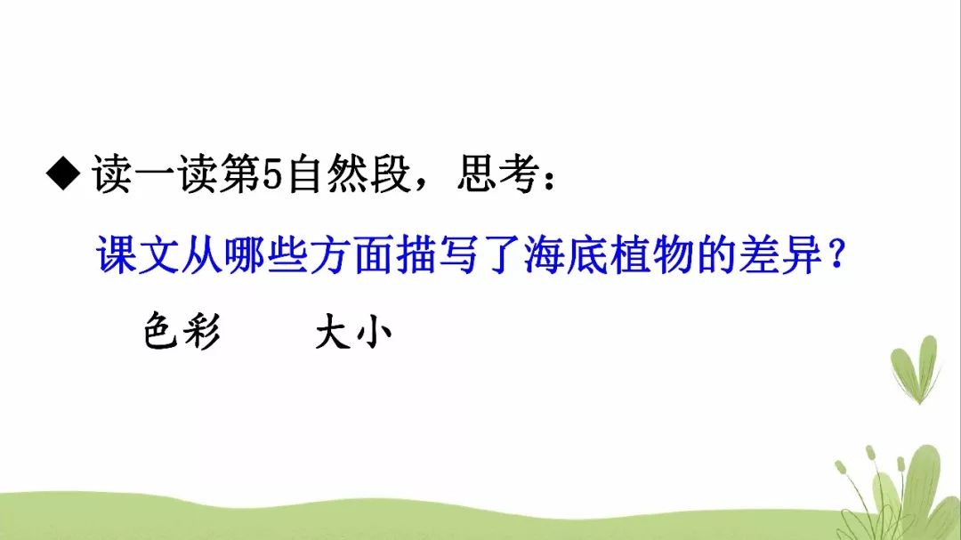 部編版三年級下冊第23課《海底世界》圖文講解