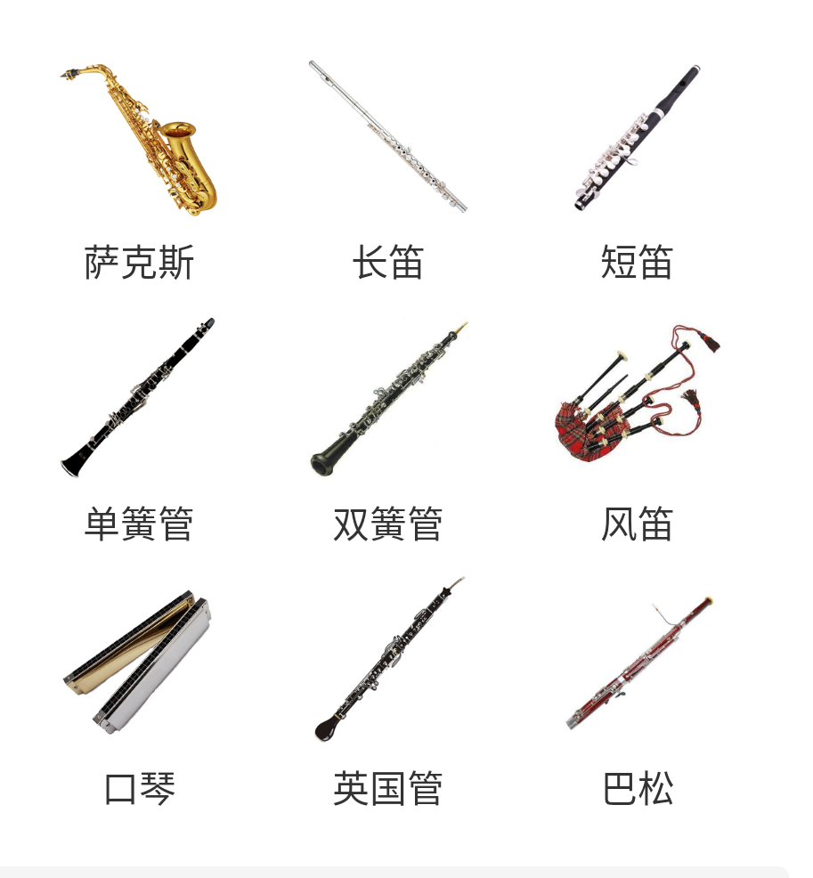 西洋乐器和中国乐器知多少?乐器普及