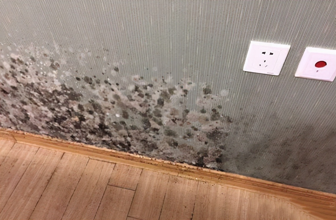 不经历南方的“湿”情画意，就别动不动推荐“不靠谱”的装修设计