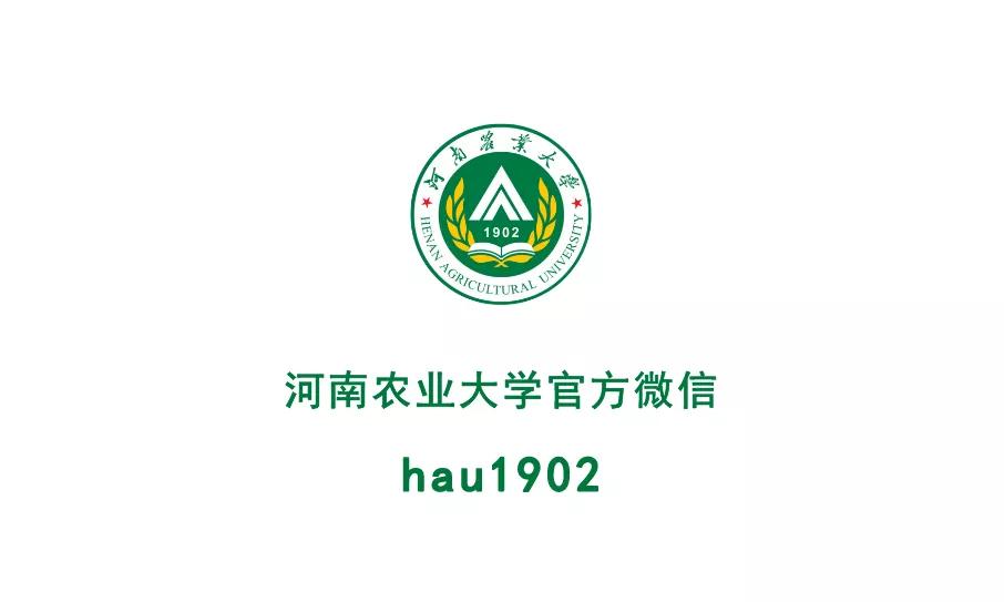 必看丨录取结果查询方法