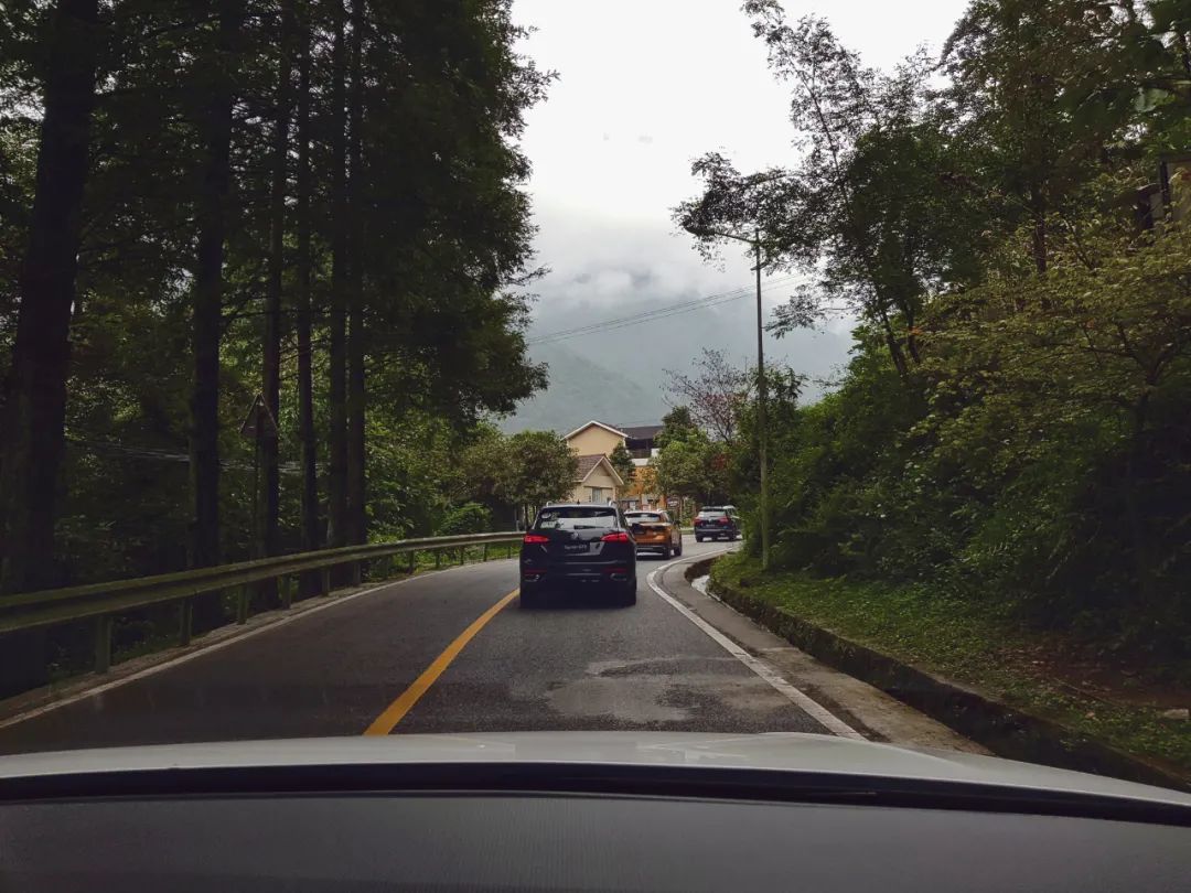 一口气试完大众的十几款SUV，我们来谈谈感受