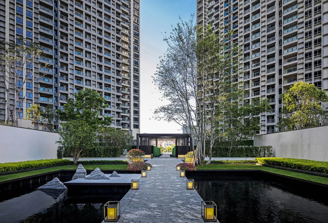 汇聚人大、深中、明德等多所名校，深圳新兴教育强区正在崛起