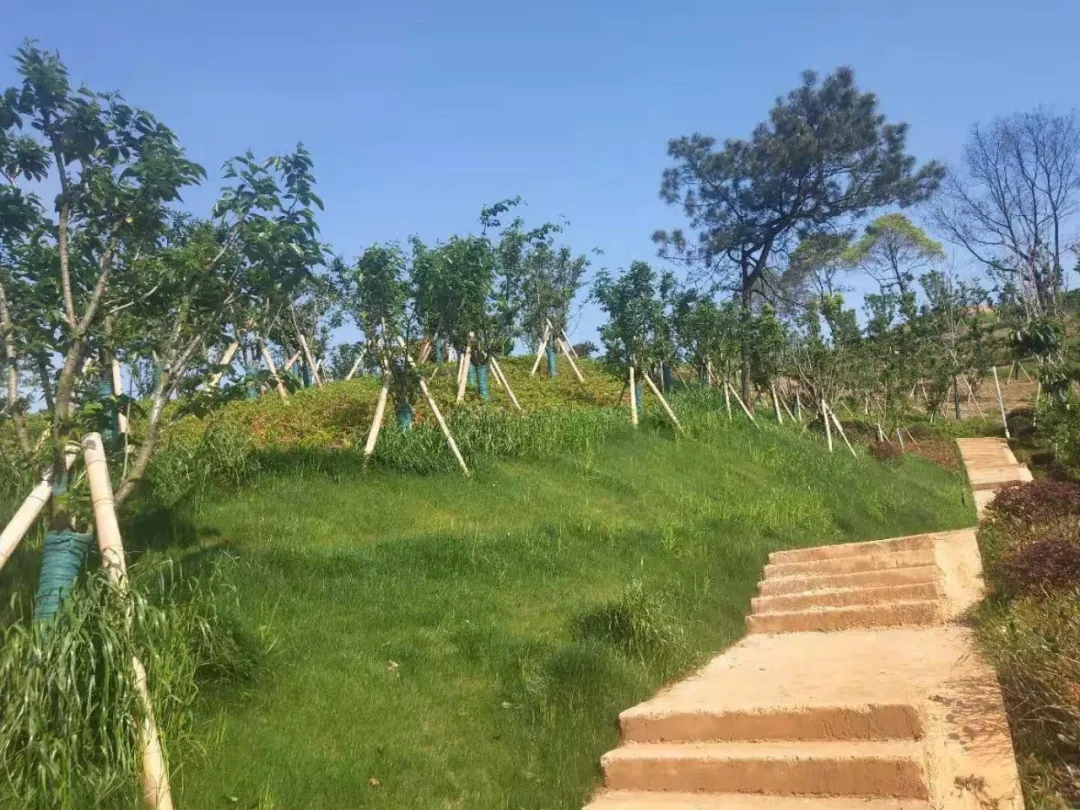 中医药养生小镇新进展，横龙板块迎来全新文旅康养走廊？