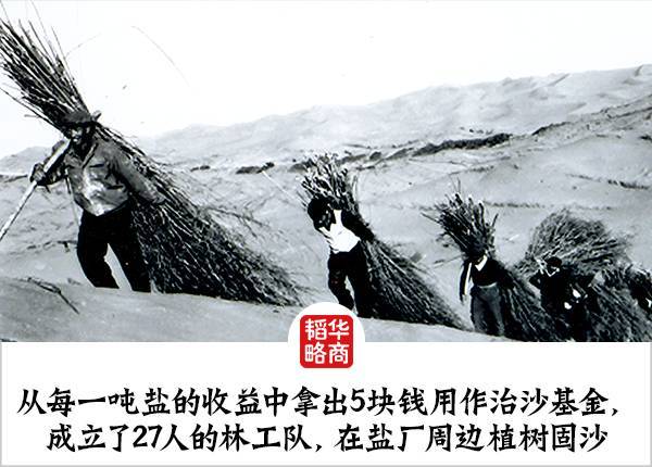 科学家发现地球正变绿，最大贡献就在中印，但专家对印度非常担忧