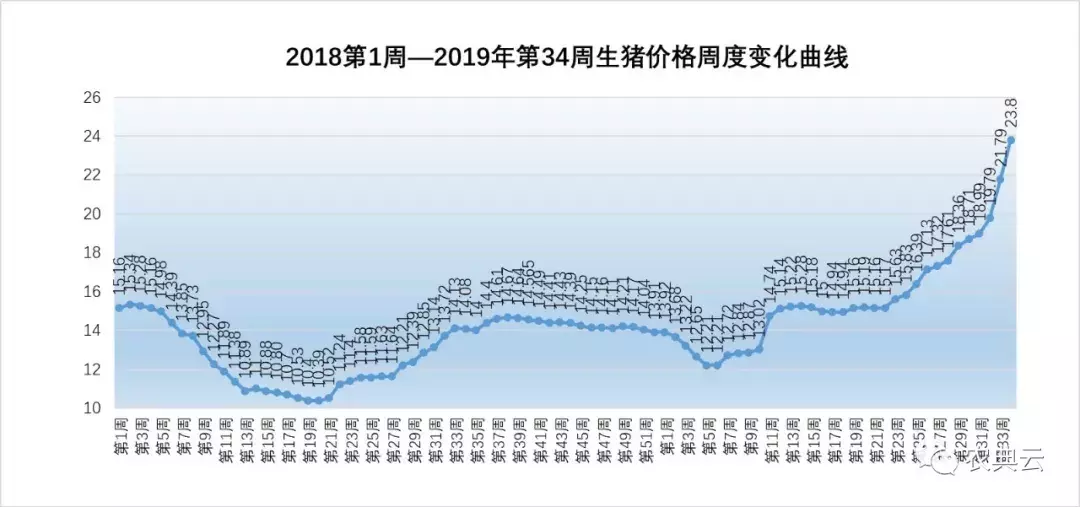 北京肋排88元/公斤！在猪价大涨原料稳定支撑下每头猪盈利1400元