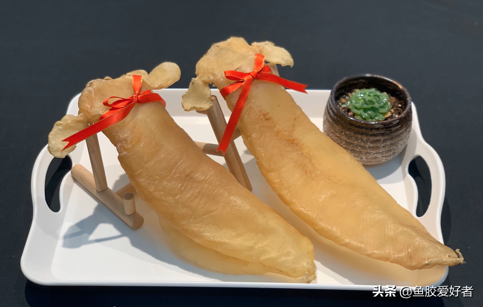 鳘鱼胶的功效及吃法(赤嘴鳘鱼胶:最复杂的鱼胶品种,也是最受欢迎的