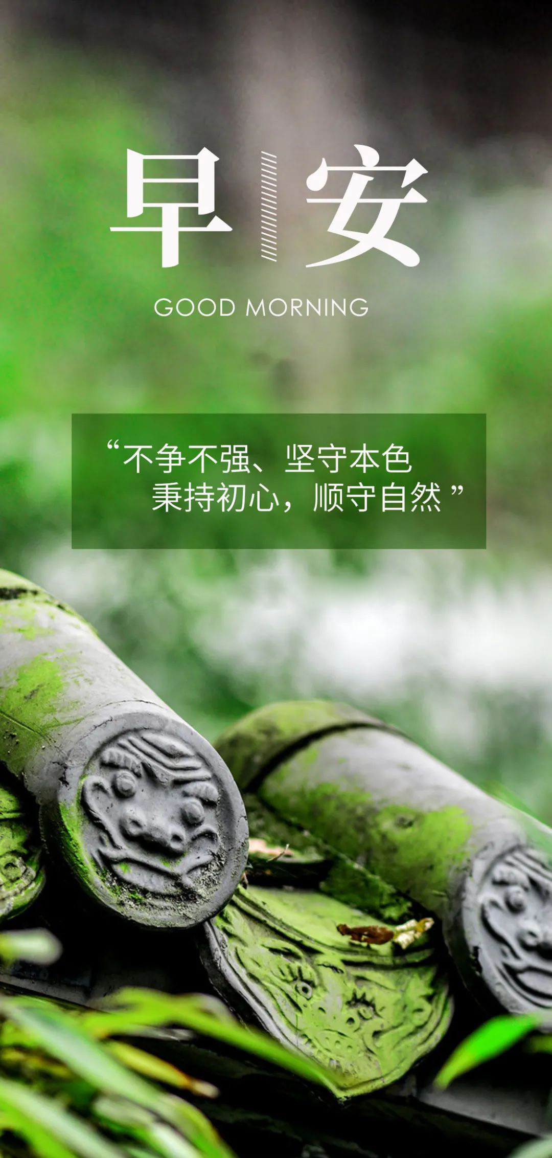 新的一周早安说说正能量图片，周一早上好阳光问候语录