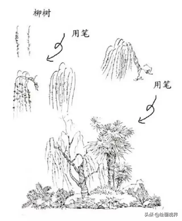 干货！教你15种速写植物配景画法，简单易学，学会画速写很简单