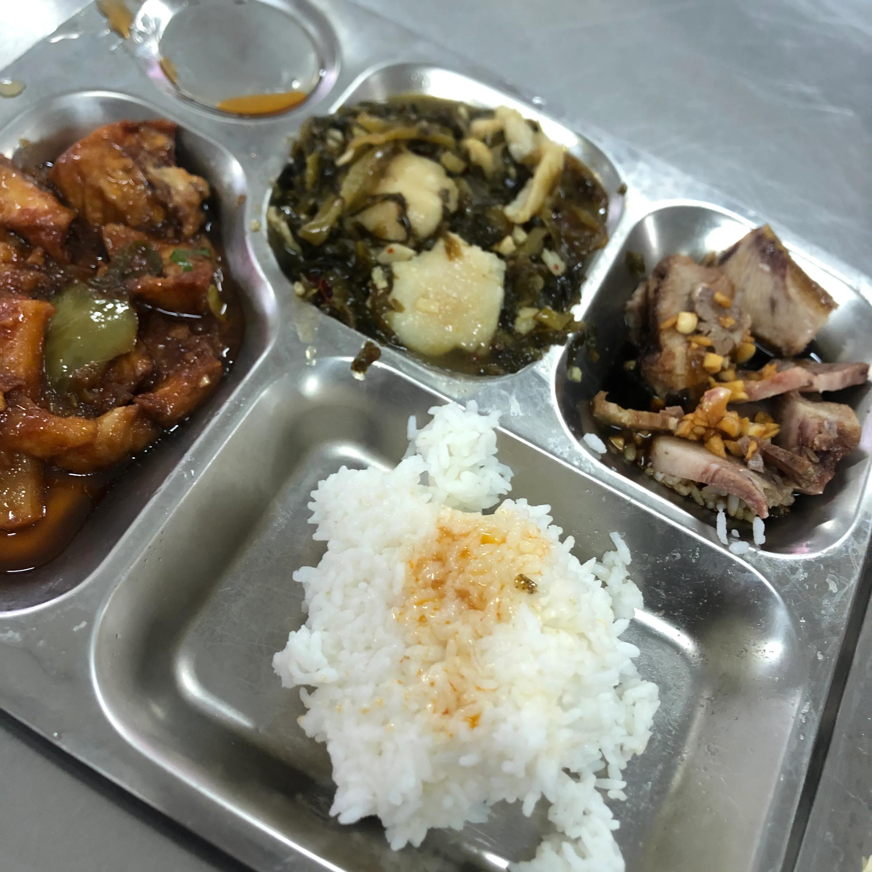 大学生养猪，谈谈真实感受