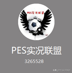 实况14欧联杯闪退怎么解决(「实况联盟」关于更新3.30版本后闪退等问题的解答)