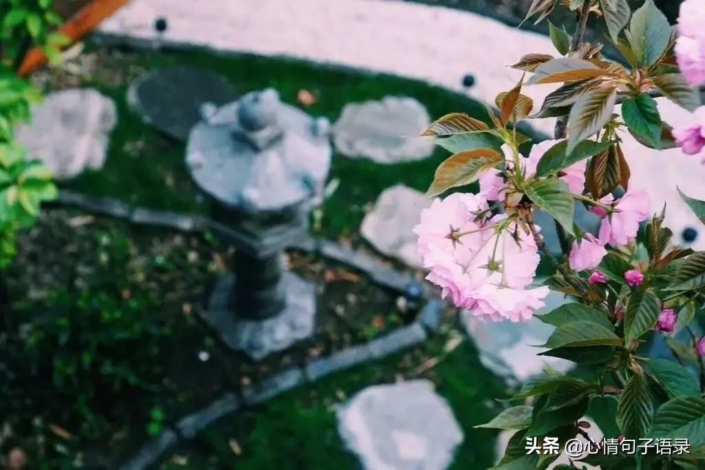 苍天不负人，苦尽甘自来