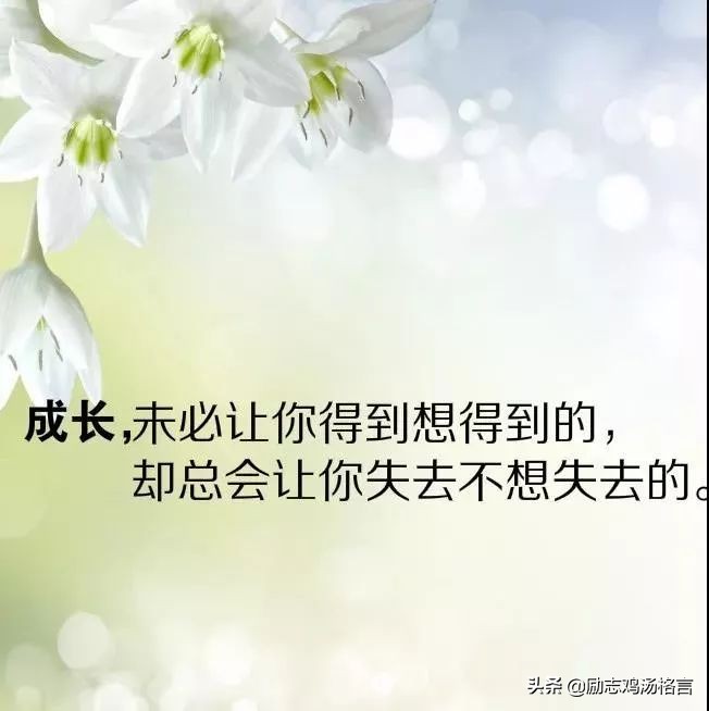 唯美走心的一句话经典心情语录_最走心的一句话语录