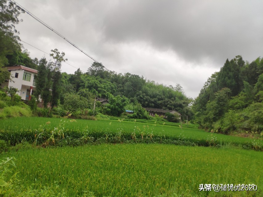 感悟:生活需要仪式感，人人都需要