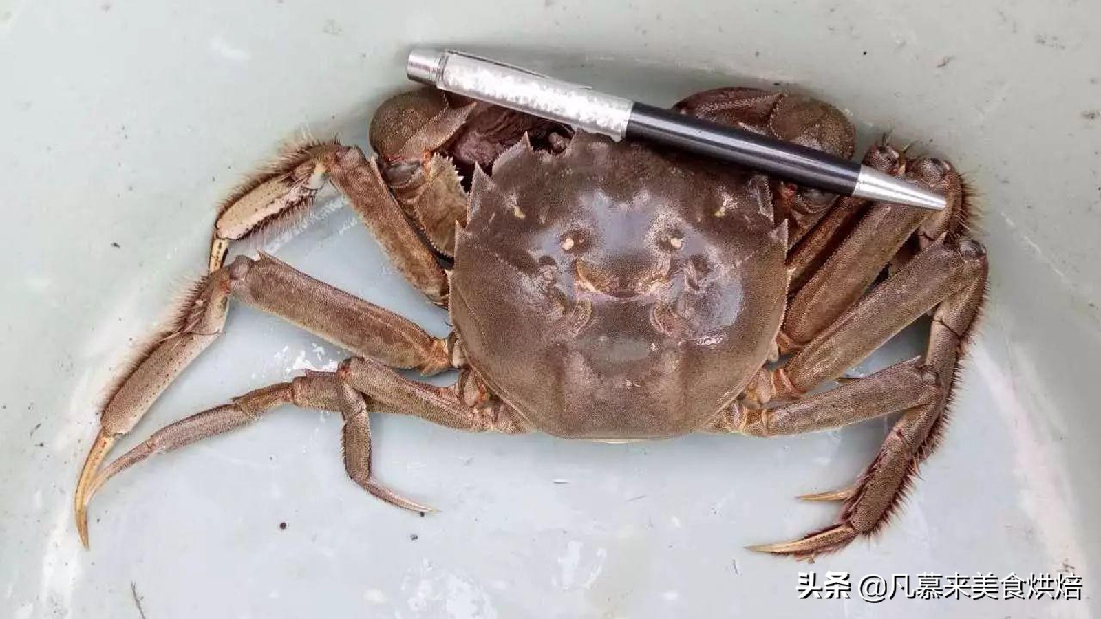 唐山走亲访友、回老家带什么礼物好？54种唐山各县市土特产大全