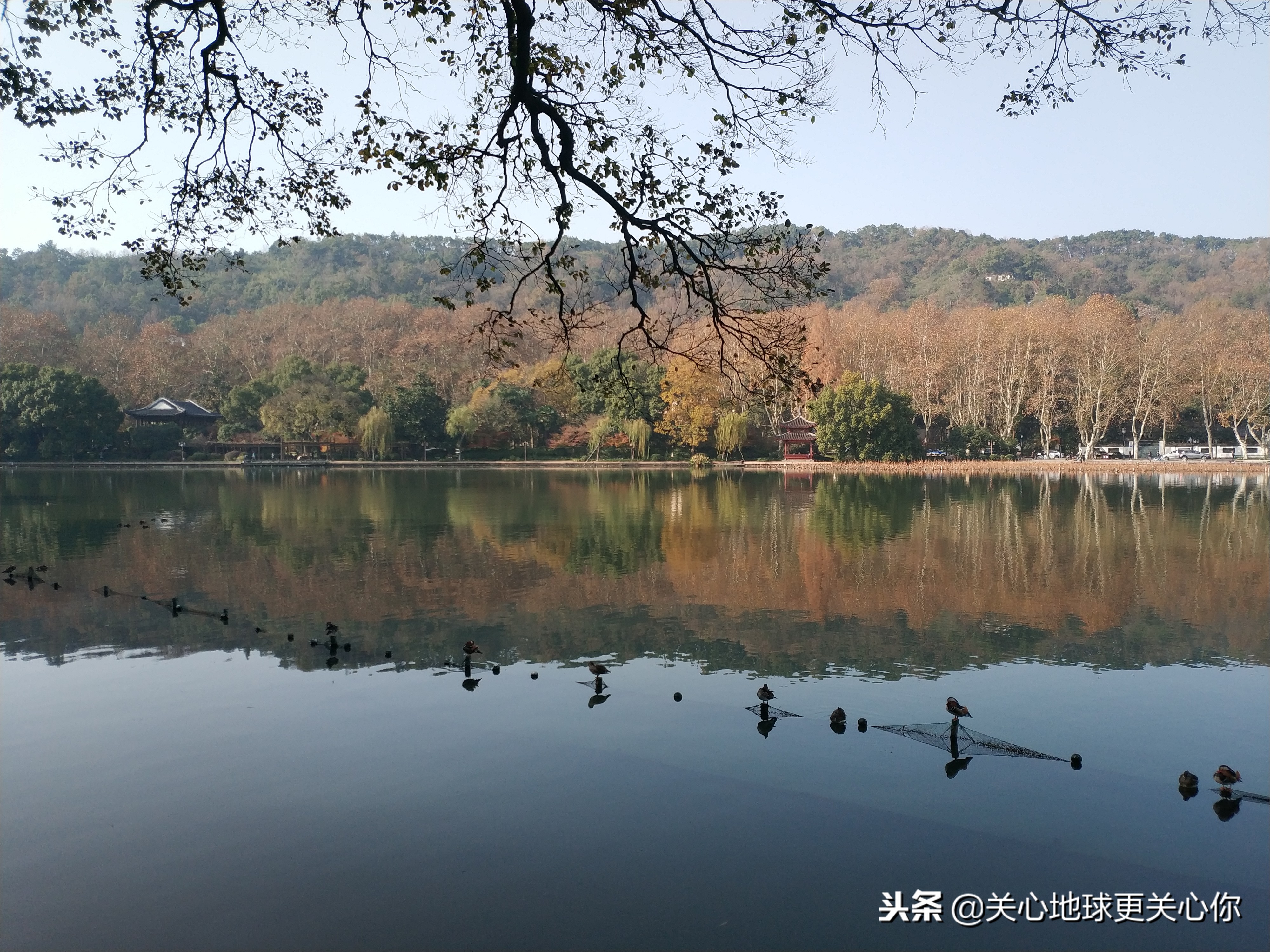 品笑傲江湖，访西湖孤山