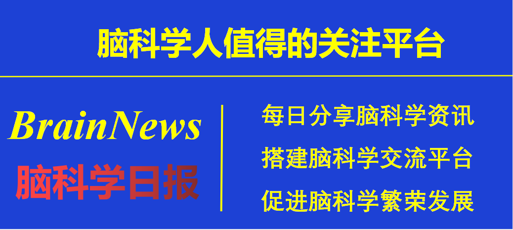 眼动论文精选｜| 明确的指令对幼儿内隐和外显语言知识的影响