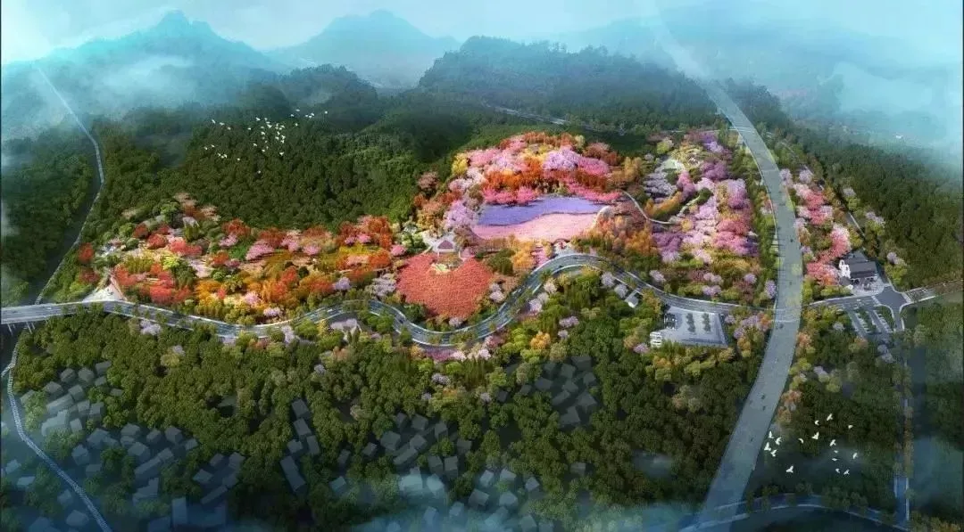 中医药养生小镇新进展，横龙板块迎来全新文旅康养走廊？
