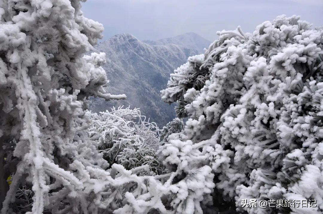 南岳衡山旅游网(距离广州仅两小时高铁，就有个绝美雾凇地，它就是湖南南岳衡山)