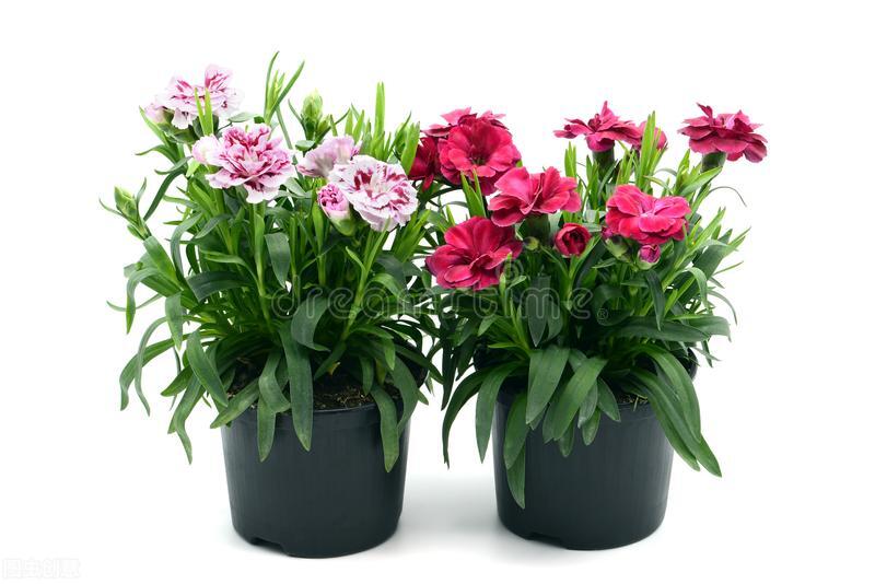 2014北京高考听力真题（36）