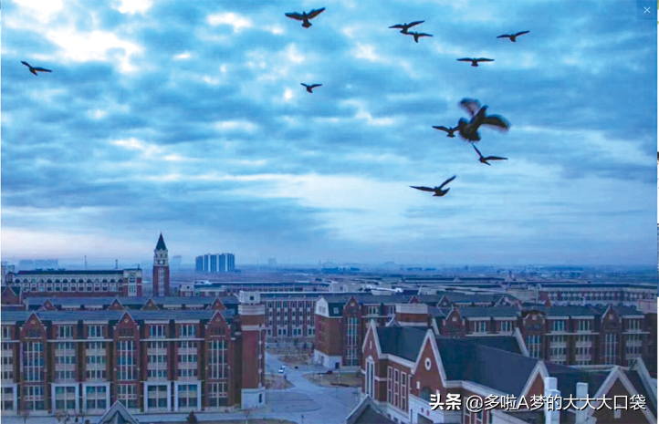 唐山工业职业技术学院2020年单招招生简章