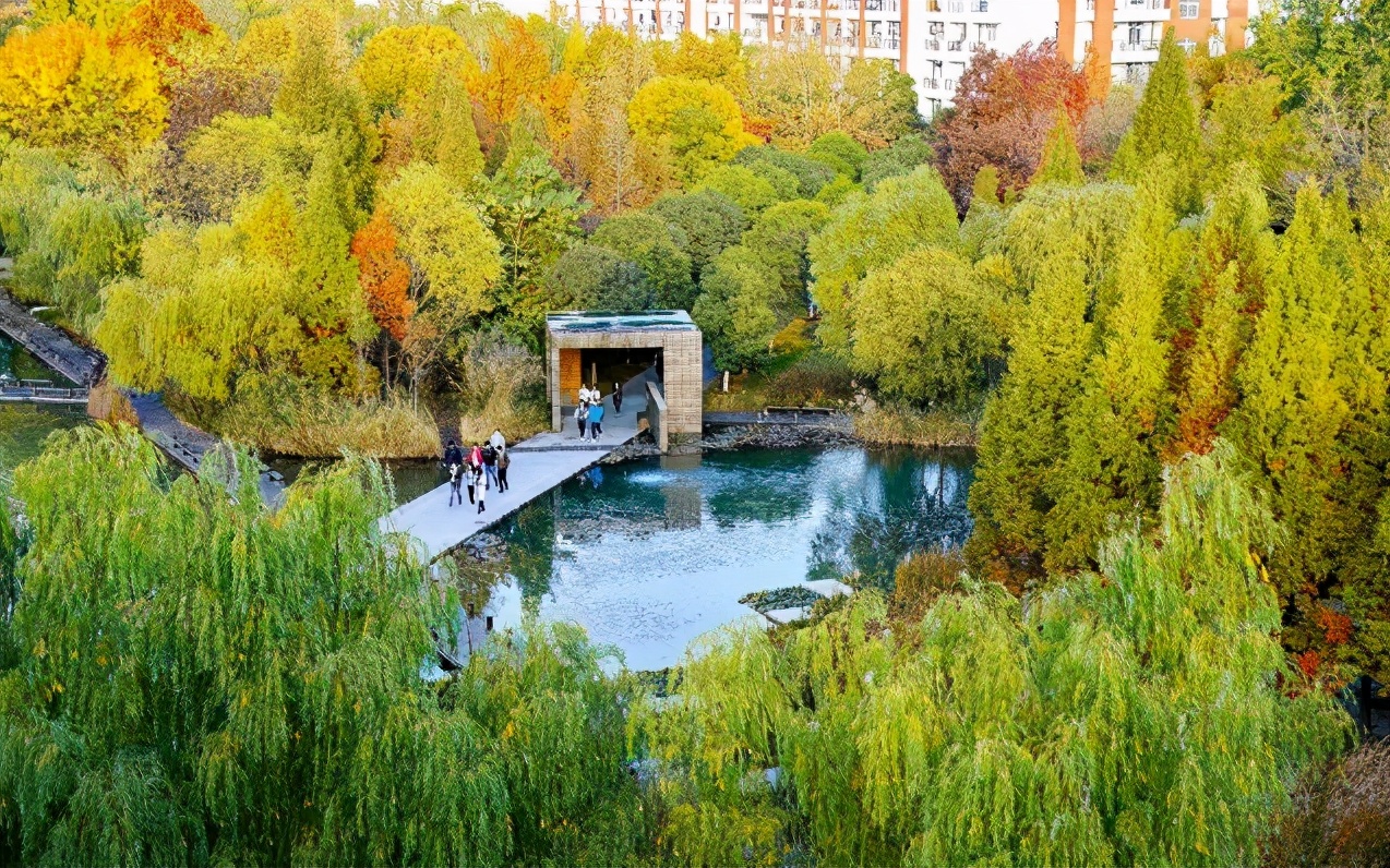 中国最美大学之一！占地面积5700余亩，坐拥24个食堂，还设有专属地铁站！