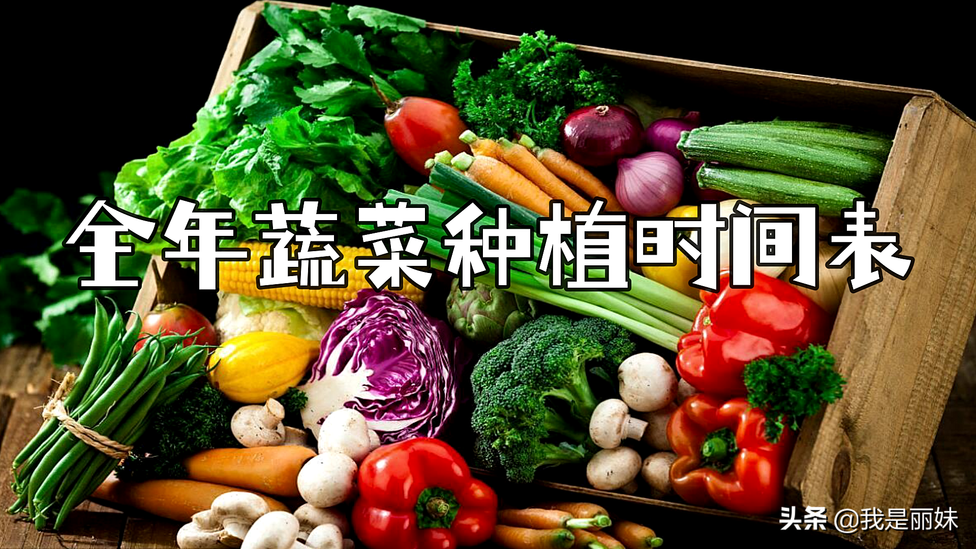 这个月你都种了些什么蔬菜呢？全年蔬菜种植时间表，值得收藏