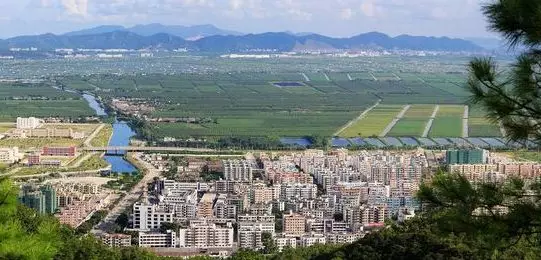 珠海女大学生刚拿驾照，开车回校途中撞死老伯！车上两同学却说没看见！