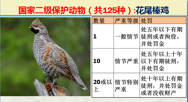 国家保护动物分几个等级（125类二级野生保护名录）