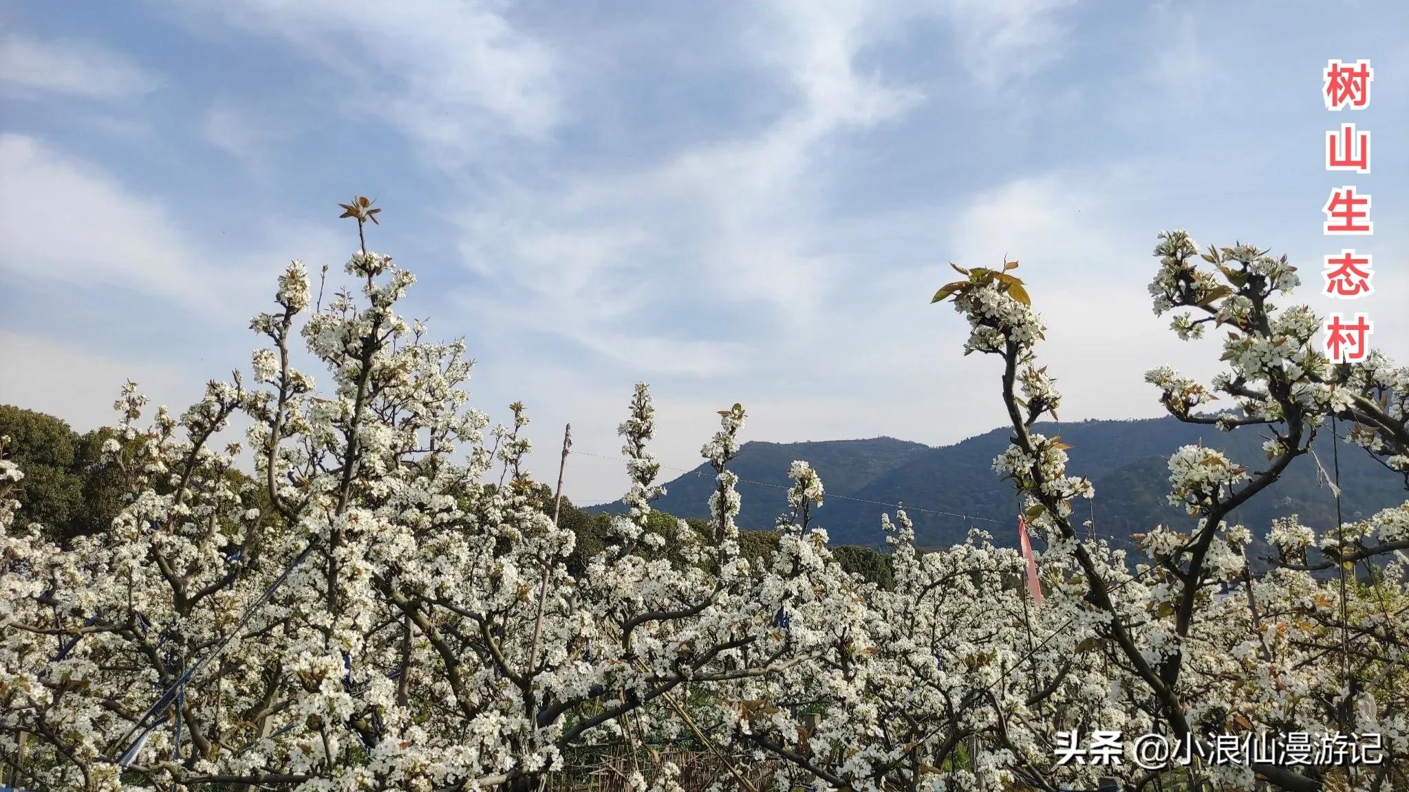 100个免费苏州景点，喜欢的赶紧收藏