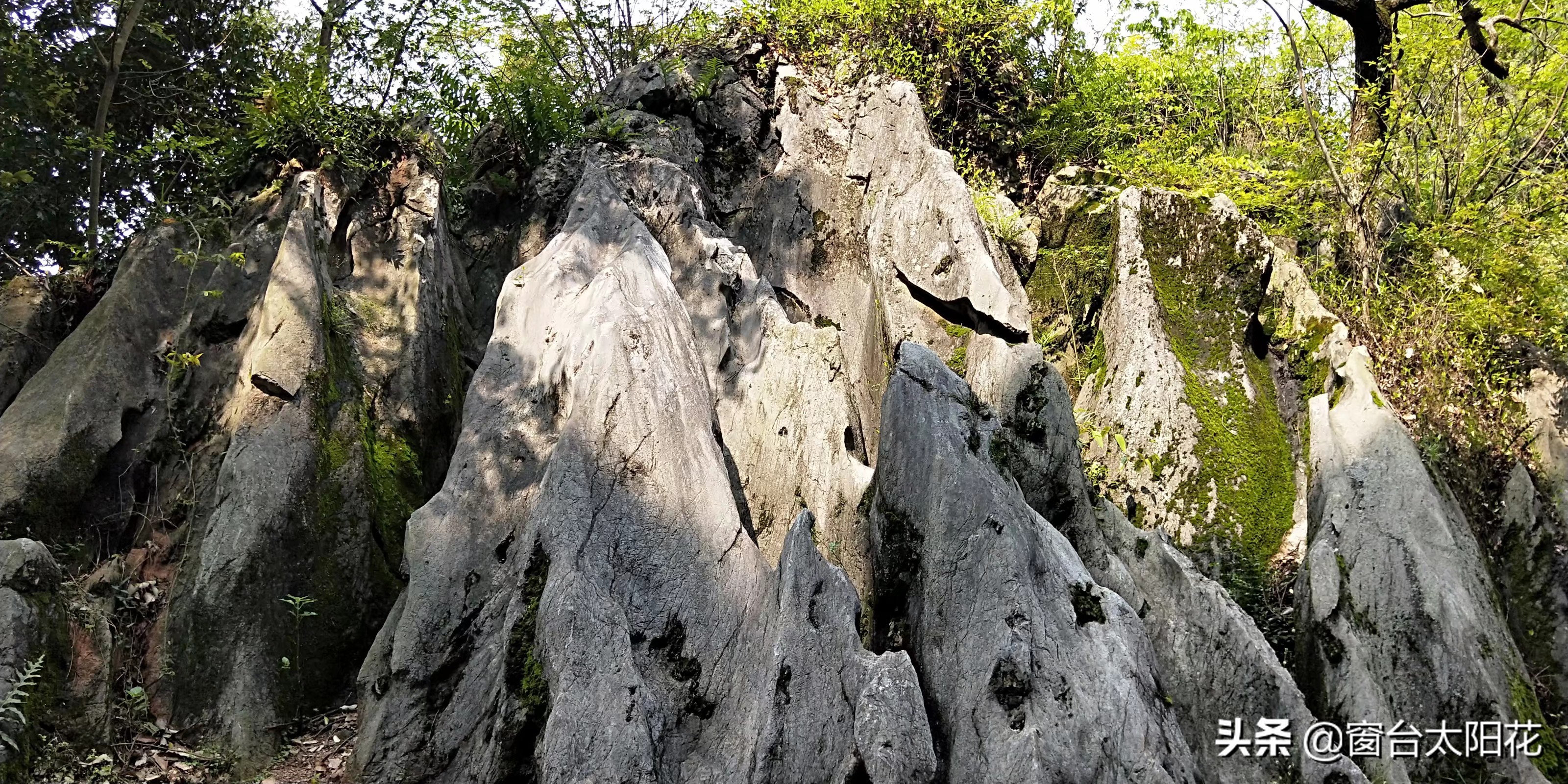 独自穷游～福建行（永安桃源洞，鳞隐石林）