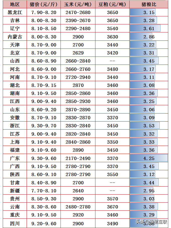 今日猪价行情（猪价涨翻天，大肥一斤13！雨雪助力，还要涨？）