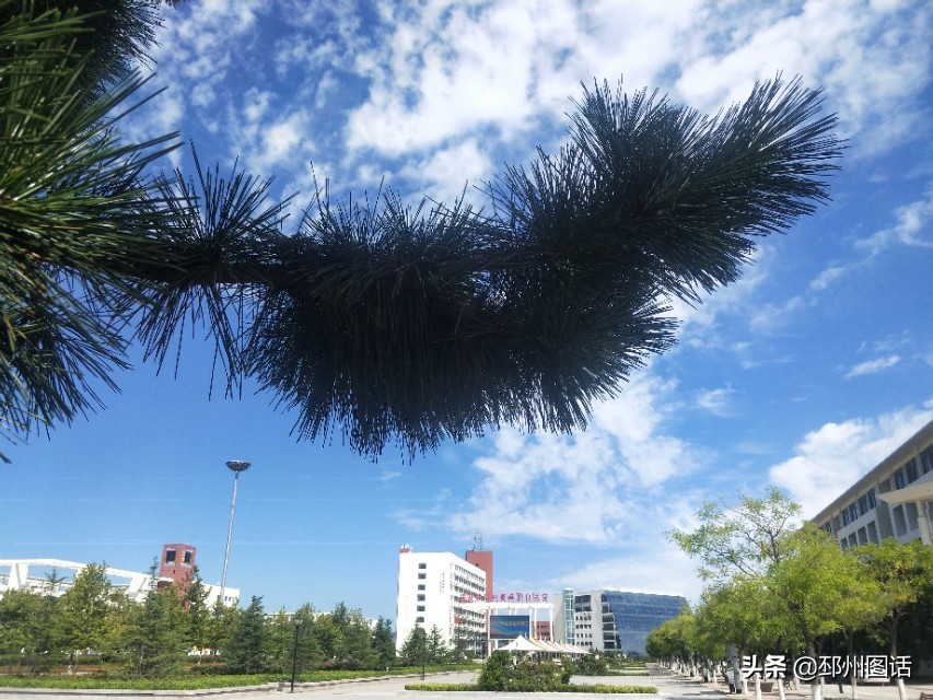 美丽的校园，威海职业学院