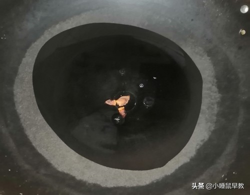 孜然面筋的做法（掌握这三个技巧面筋香辣过瘾）