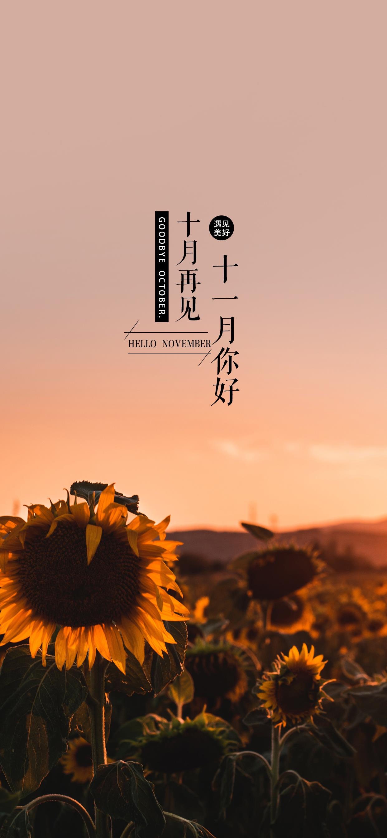 壁纸 </p><p>　　 十月再见啦，十一月，你好