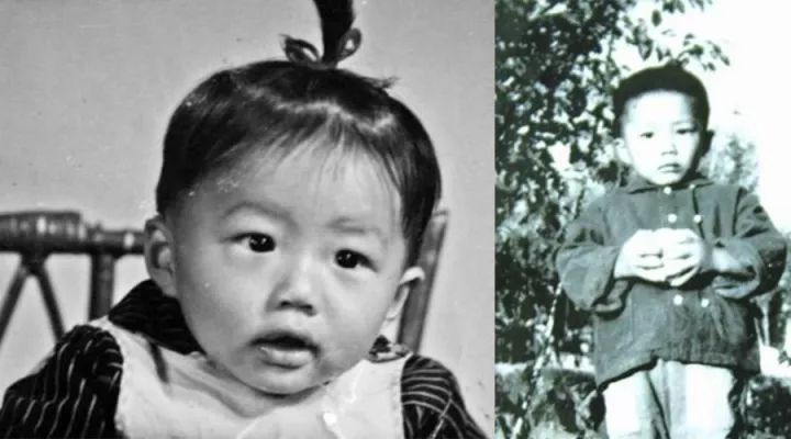 “千面影帝”段奕宏放下了陶虹，娶了个日籍太太
