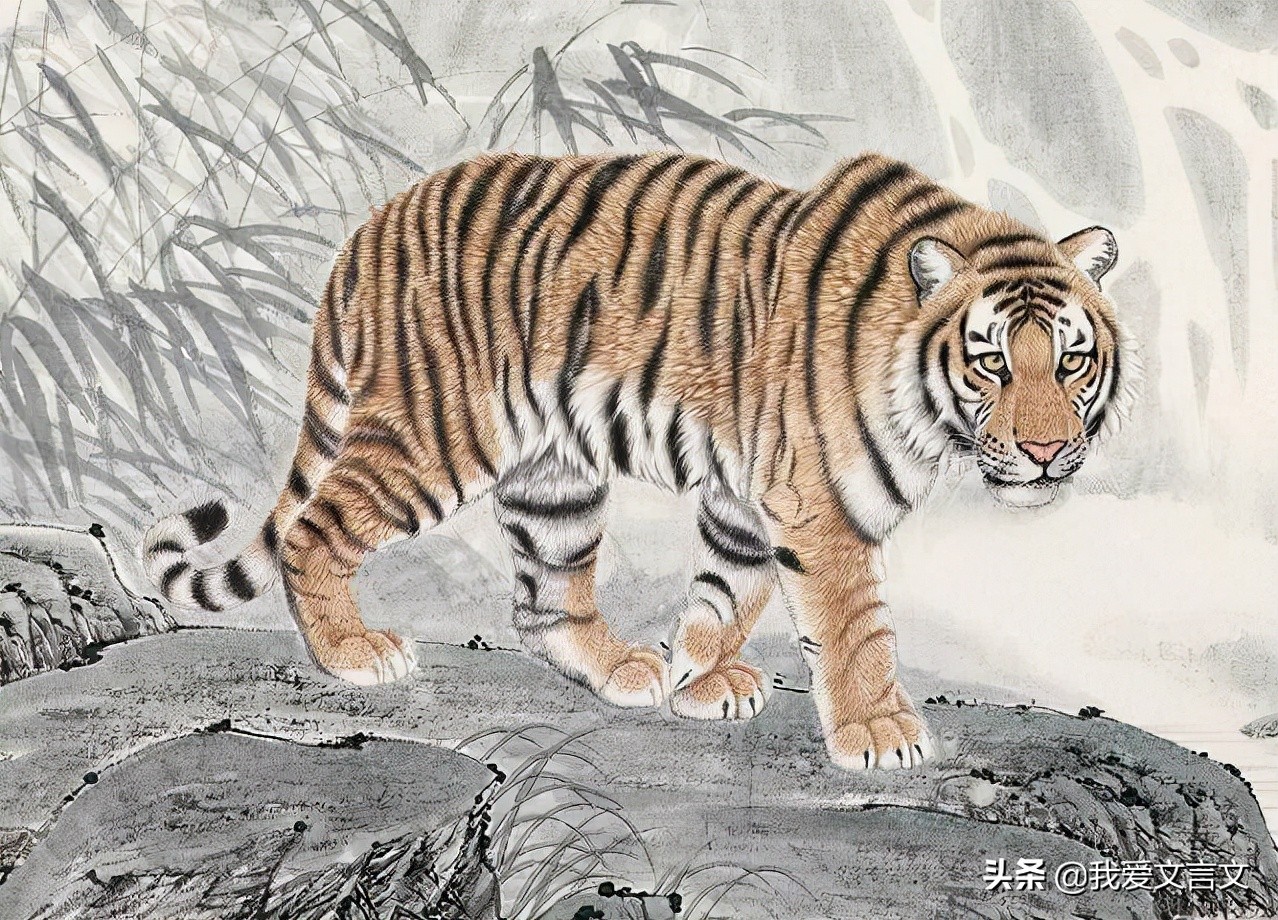 如虎添翼的意思是什么 如虎添翼的意思二年级-千百号