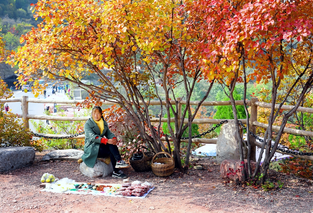 太行天路，五彩斑斓，峡谷如画，秋叶如诗